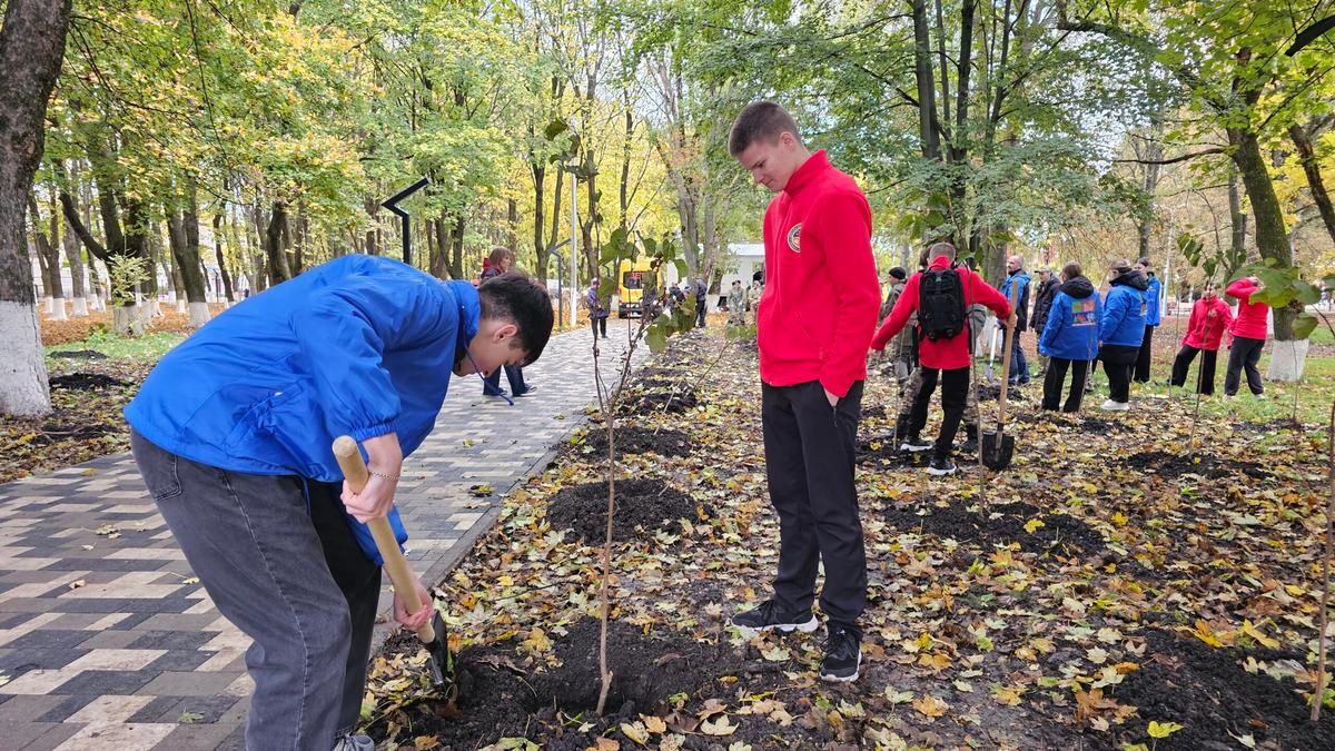 Аллея памяти героев создана в станице Боргустанской на Ставрополье