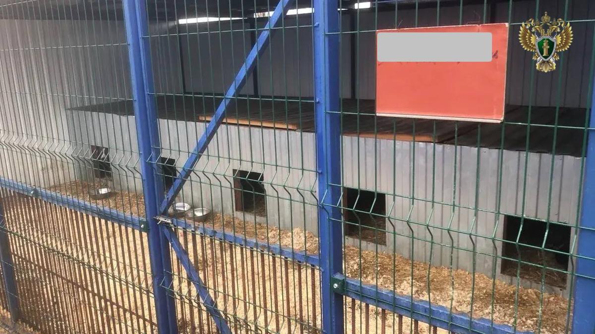 На Ставрополье оштрафовали директора пункта временного содержания животных