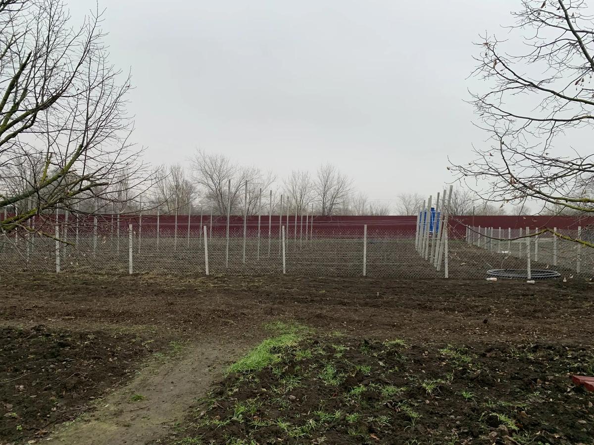 В Благодарненском округе заложили школьный сад