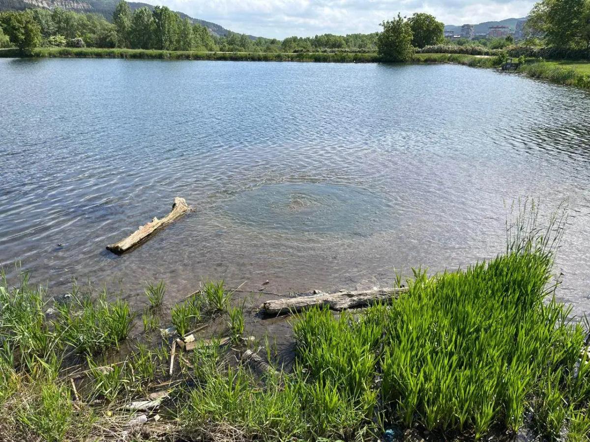 Восстановить Новое озеро планируют в Кисловодске