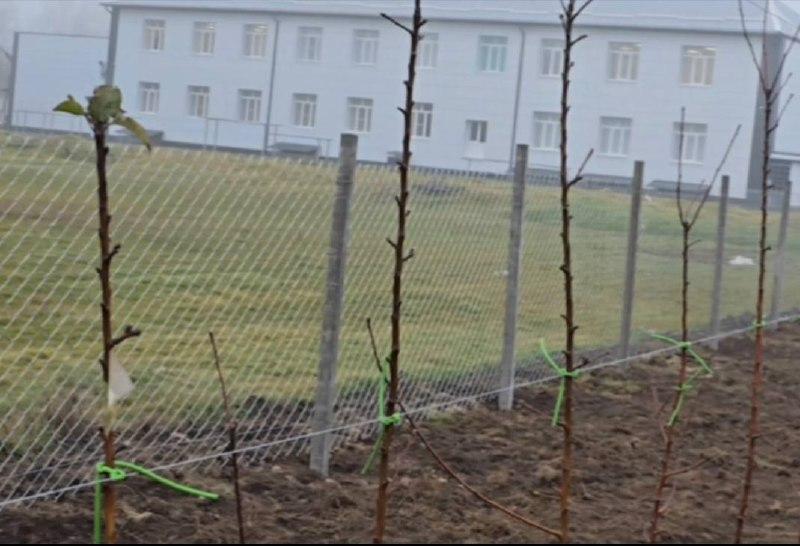 В Кировском округе заложили очередной школьный сад