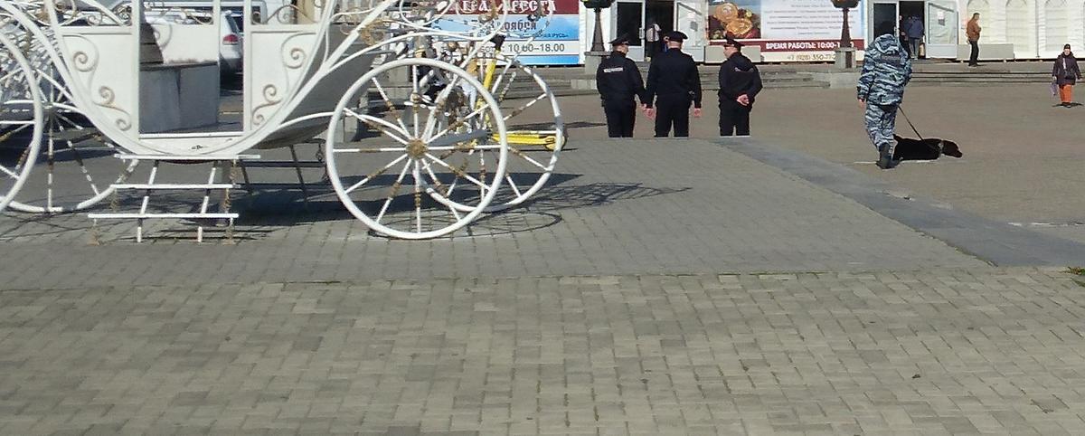 На Ставрополье за неделю более 240 человек набедокурили в общественных местах