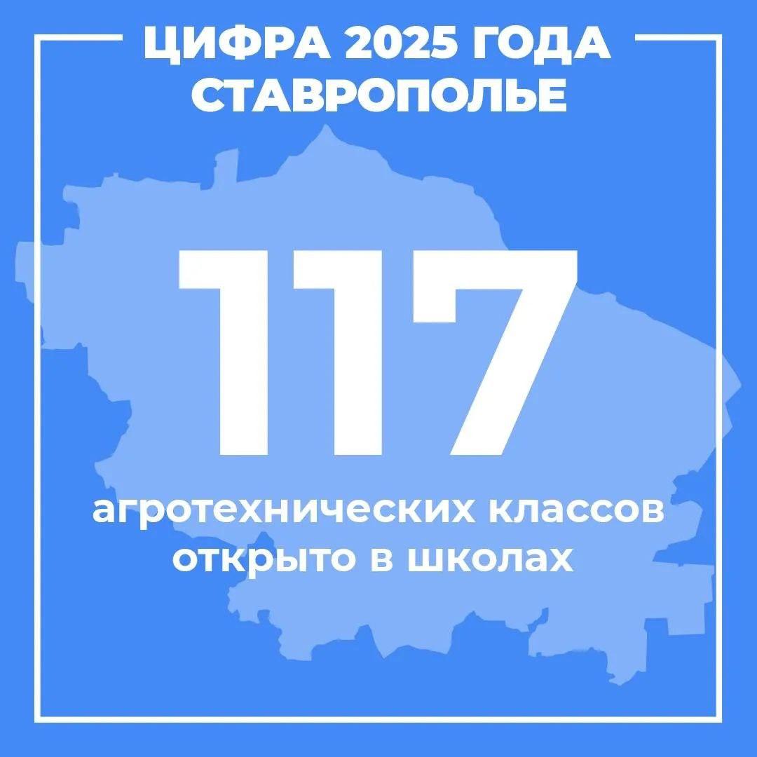 В краевых школах увеличилось количество классов профессиональной направленности
