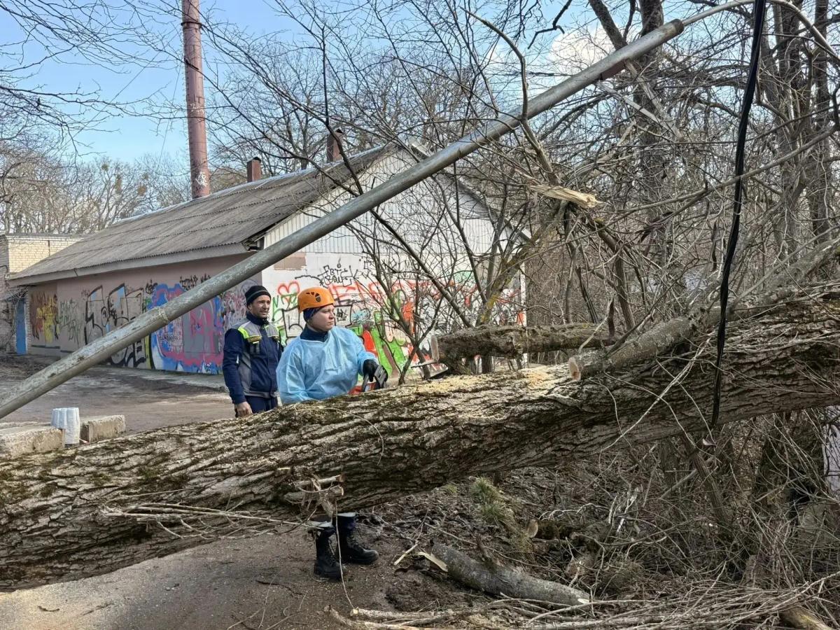 В Ставрополе отработали основную часть обращений горожан после сильного ветра