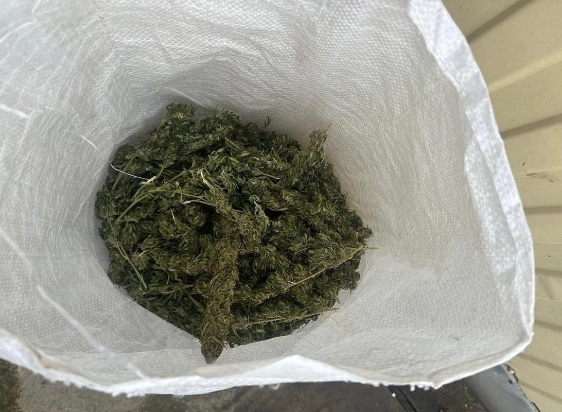 Жителя Новоалександровского округа будут судить за хранение растительного наркотика