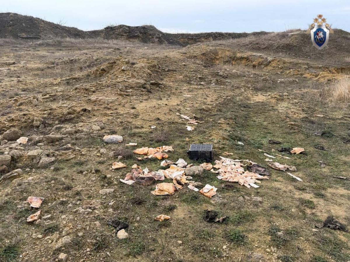 К деградации почвы привело нарушение правил добычи ископаемых на Ставрополье