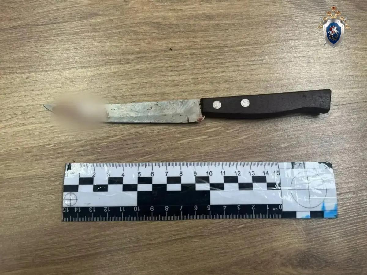 После двух ударов ножом в шею выжил потерпевший на Ставрополье