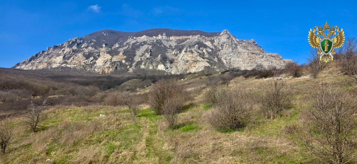 Защитника экологии наказали за загрязнение природы