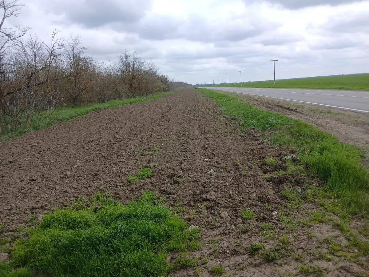 На Ставрополье приступили к работе по защите лесов от пожаров