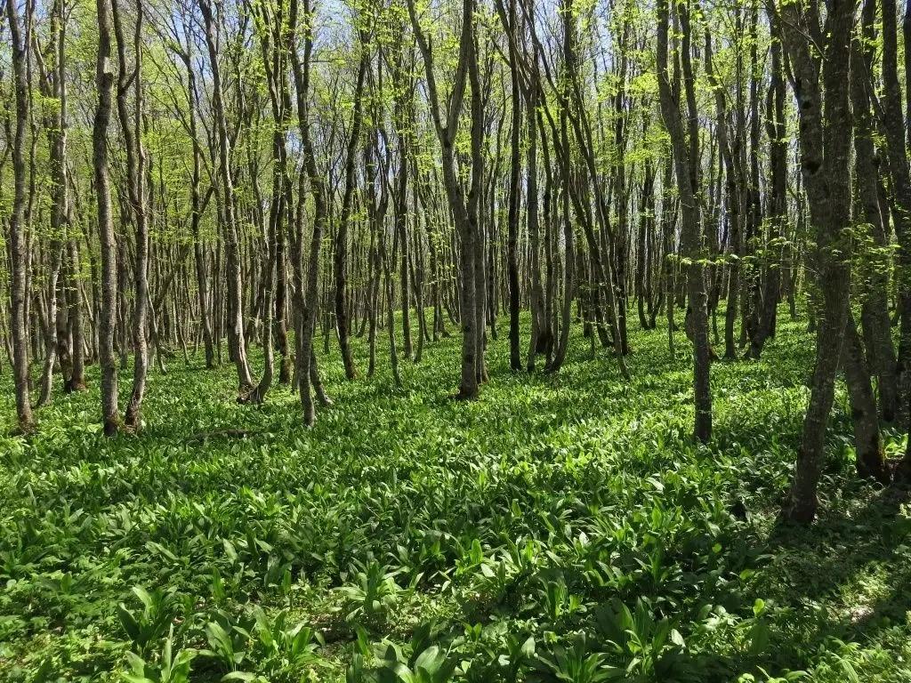 Экотропы Ставрополья готовят к открытию сезона
