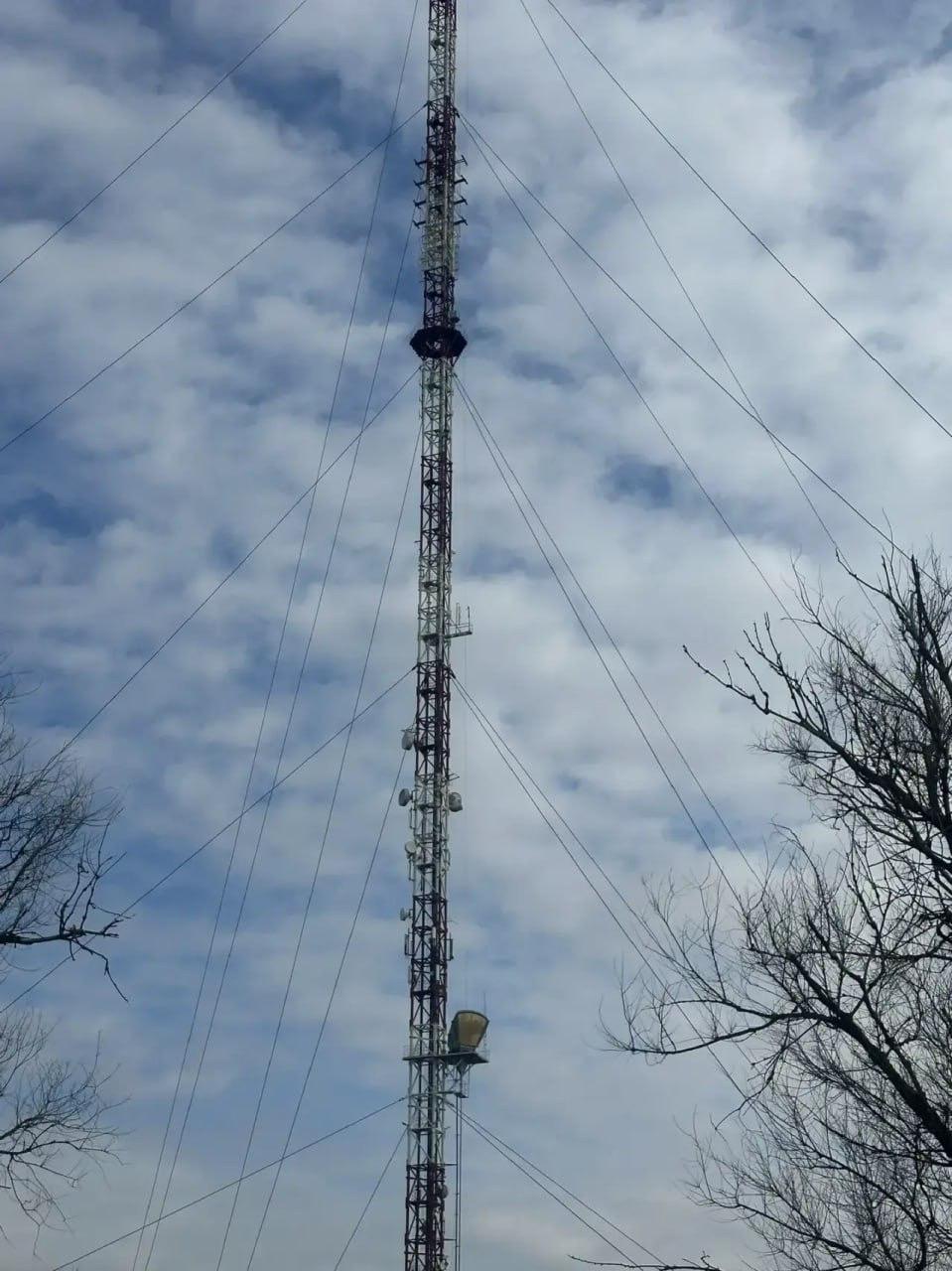 Умные камеры будут следить за лесами Ставрополья