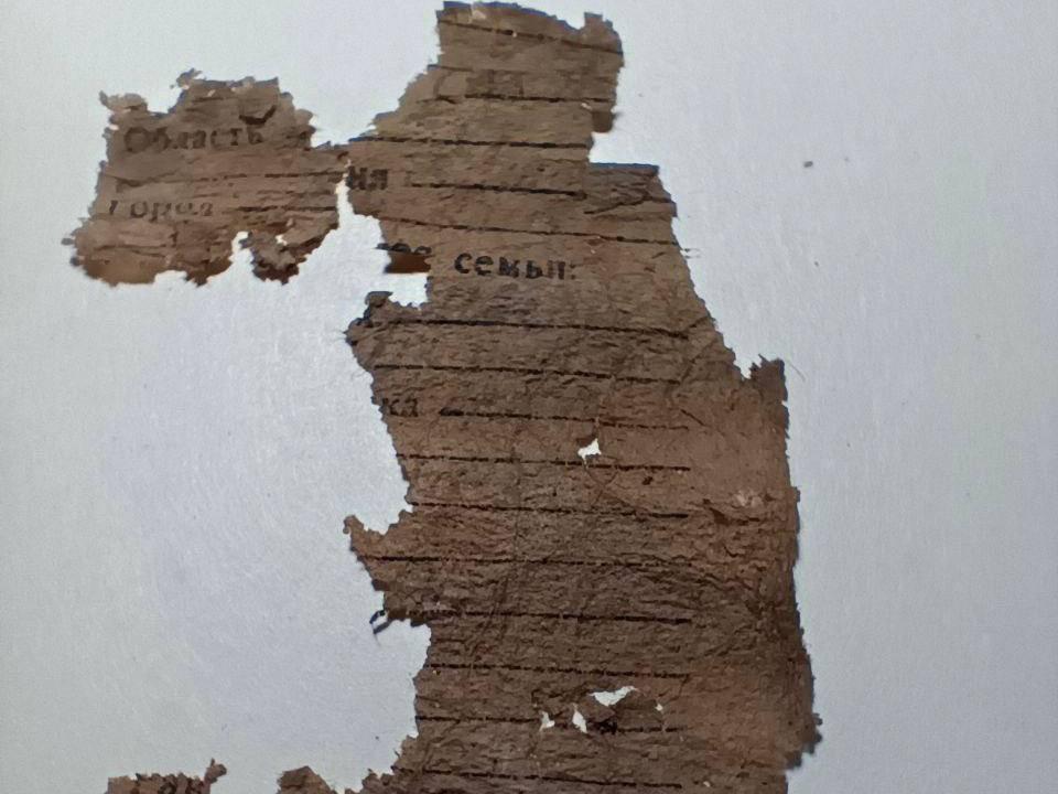 На Ставрополье нашли еще одного без вести пропавшего солдата Красной Армии