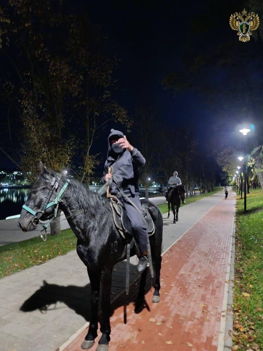 В Кисловодске всадника осудили за нападение на прохожих