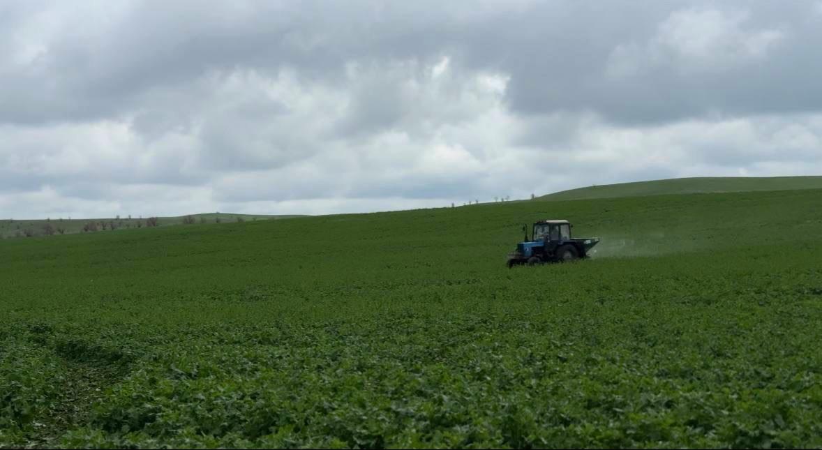 Аграрии Ставрополья закончили первую азотную подкормку озимых