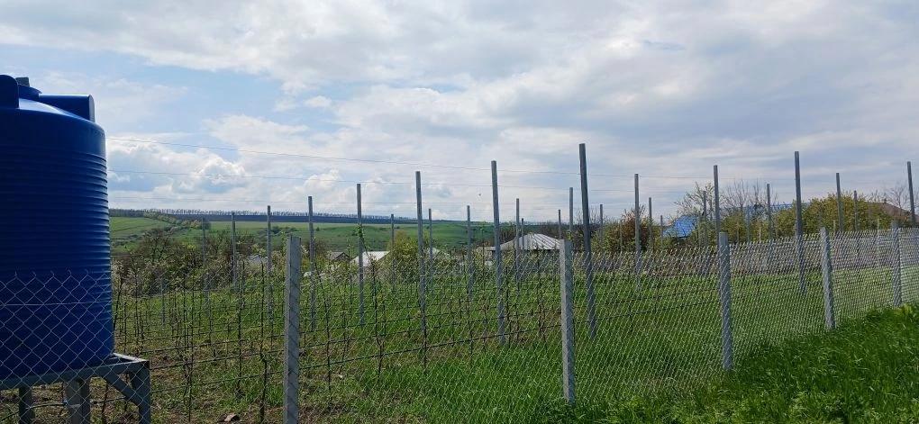 Школьники Предгорного округа осваивают тонкости работы аграриев на практике