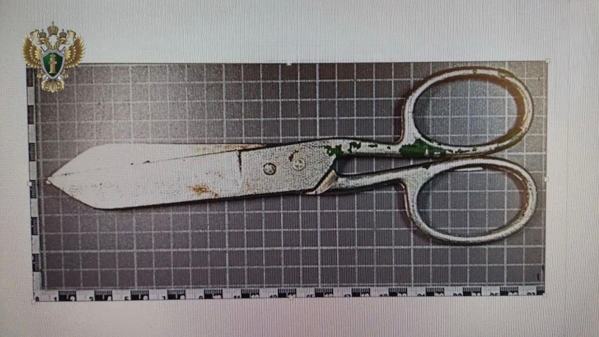 Жителя Минераловодского округа осудили за убийство знакомого ножницами