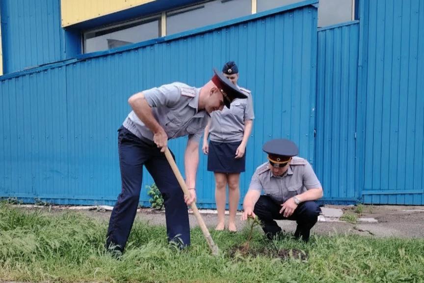 В Ставрополе в СИЗО-1 в память о героях ВОВ посадили дерево