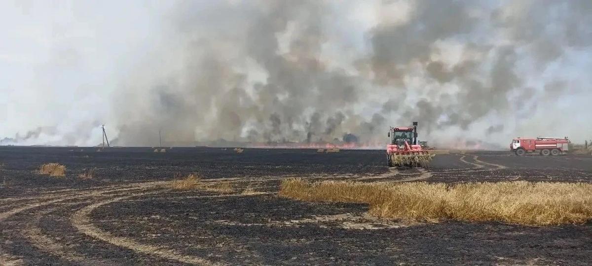 Горящее поле с пшеницей недалеко от аула Мурзабек пришлось тушить пожарным