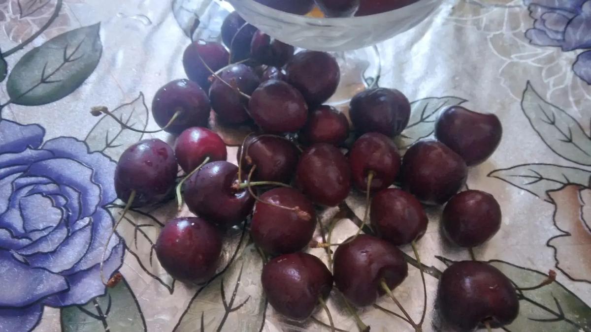 Урожай черешни на Ставрополье в этом году превысил 280 тонн
