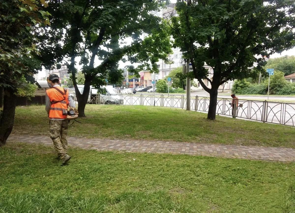 В Ставрополе регулярный покос выполнили на 12 млн кв. м территорий