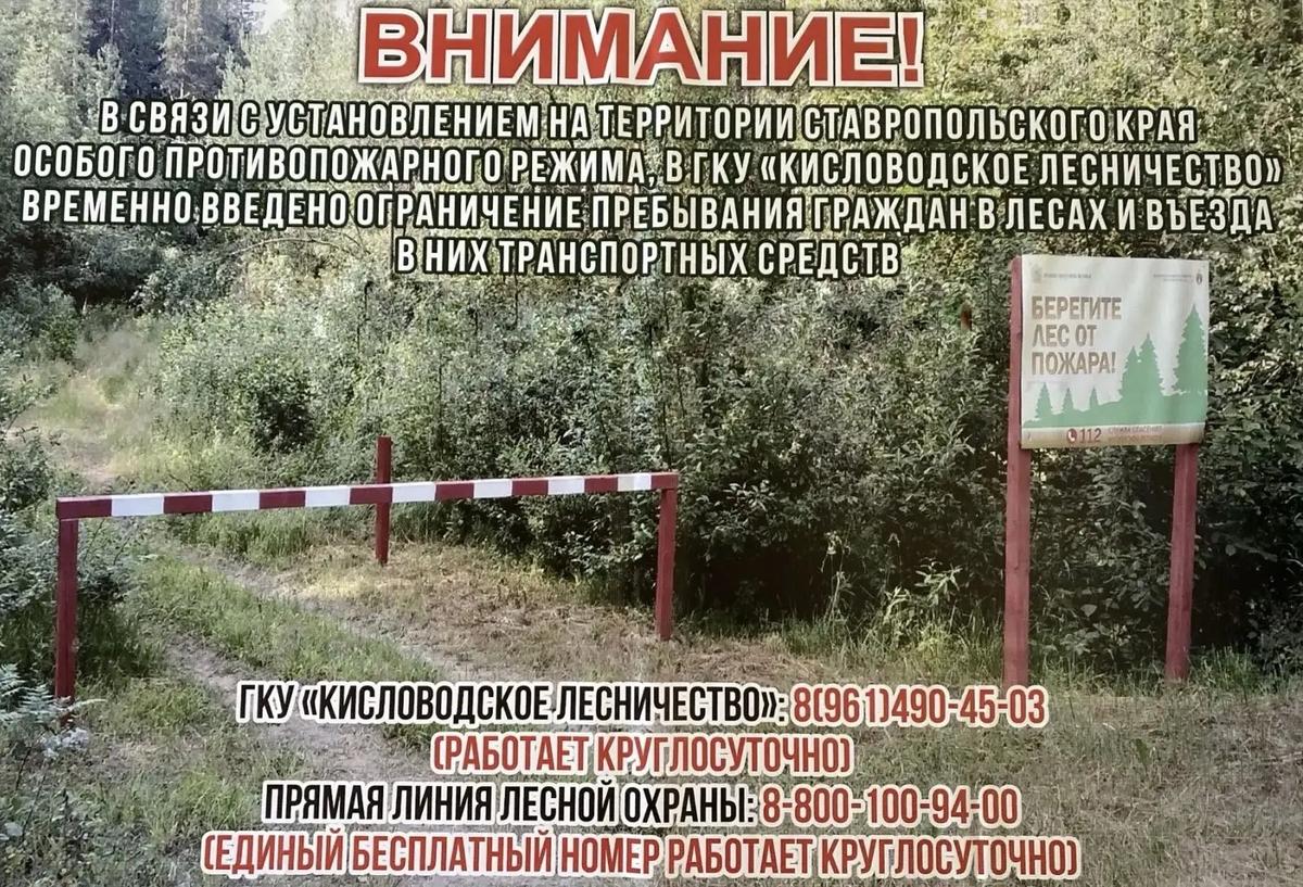 На Ставрополье ограничили въезд в леса