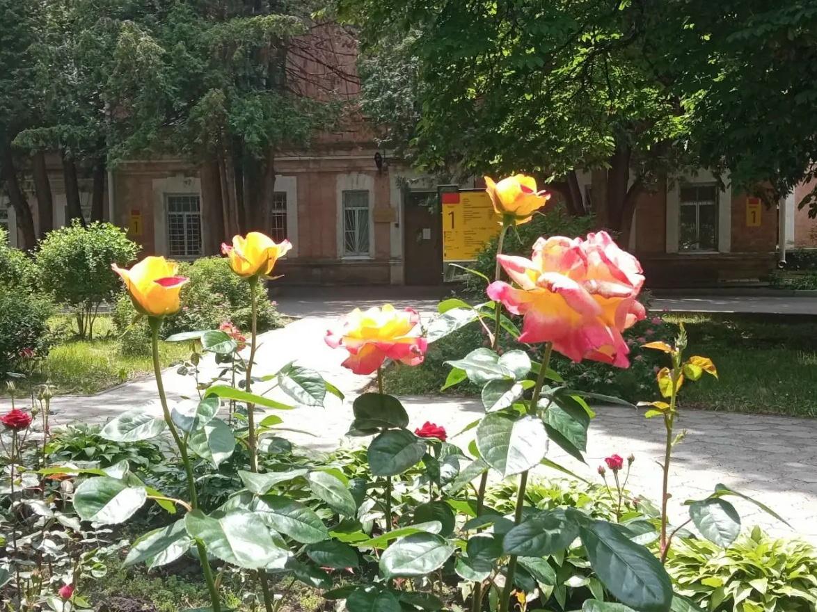 В Ставрополе эксперты обсудили психологическую поддержку ветеранов СВО