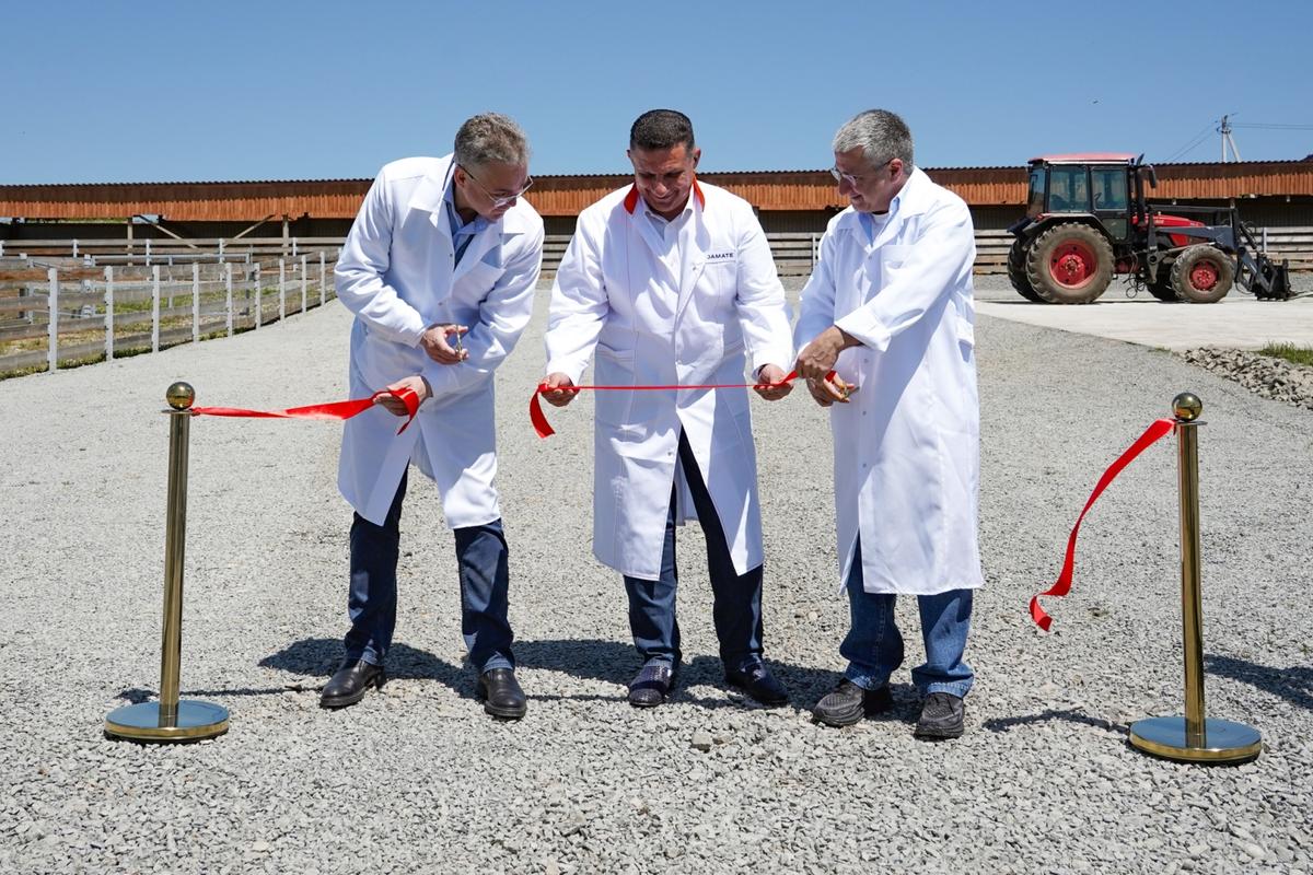 Глава Ставрополья принял участие в запуске селекционного центра овцеводства