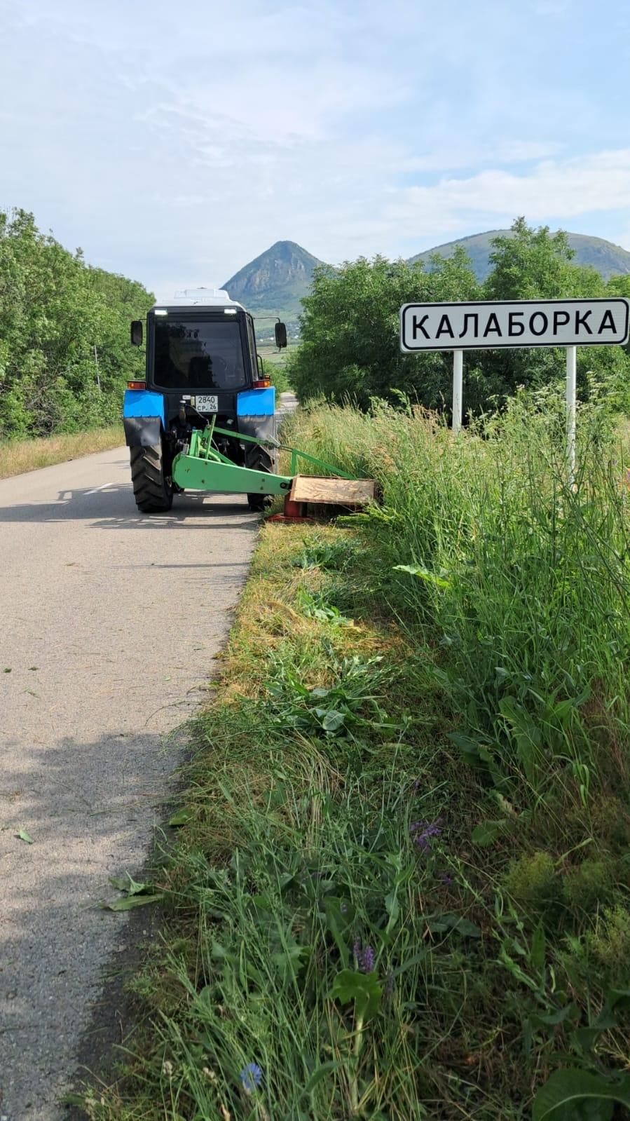 Для ликвидации у магистралей Предгорья зарослей амброзии провели 200 спецвыездов