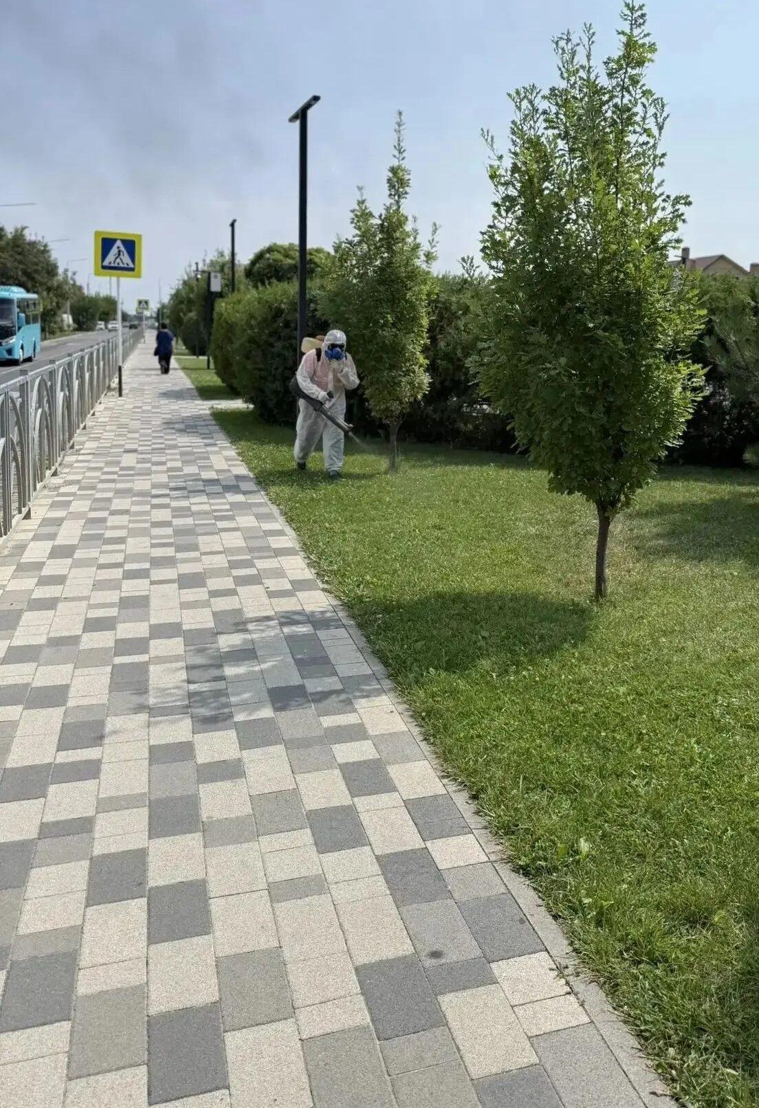 В Ставрополе обработали свыше 2 млн квадратных метров территорий