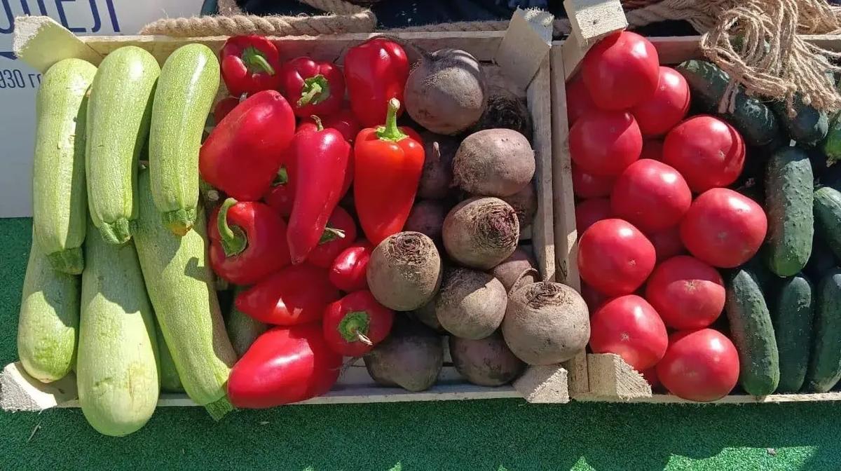 На Ставрополье в самой активной фазе уборка борщевого набора