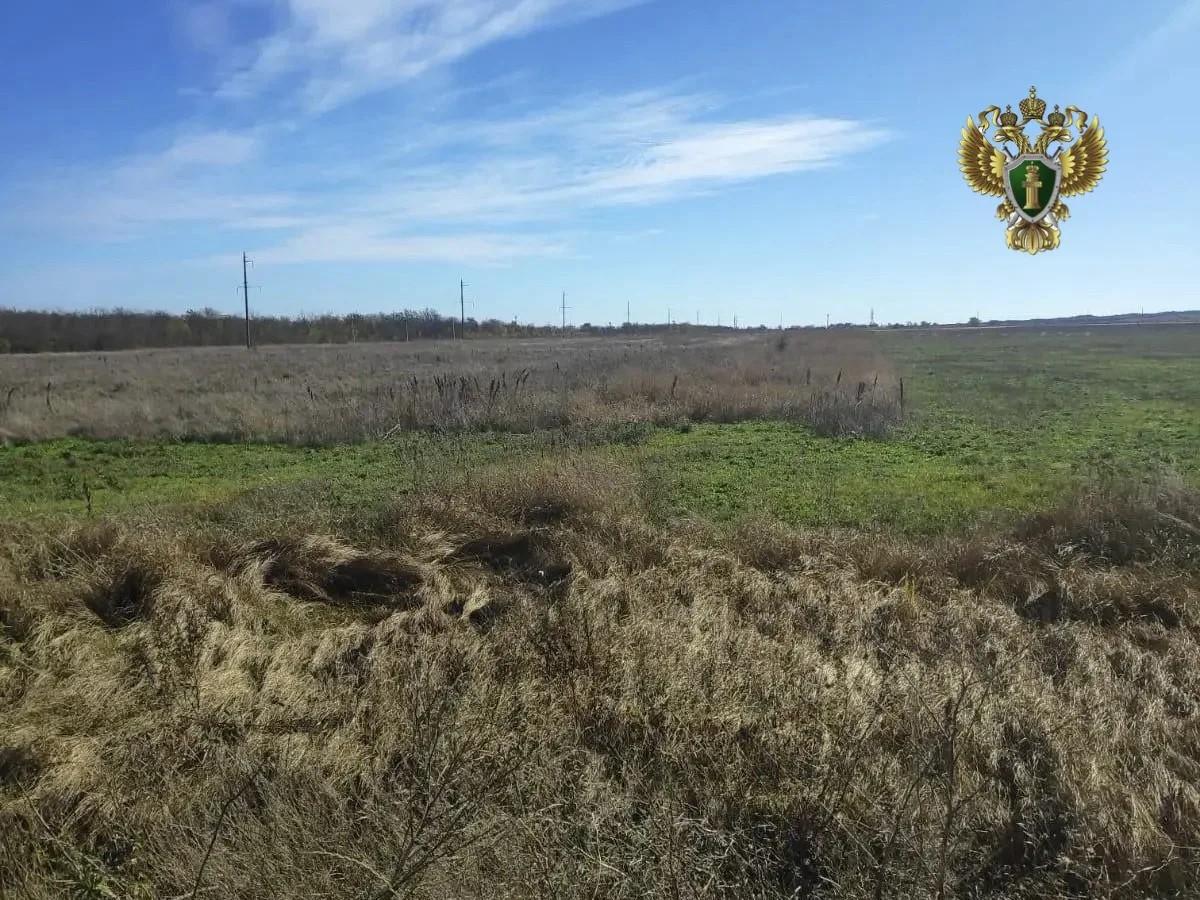 В Андроповском округе директора оштрафовали за неиспользование сельхозземли