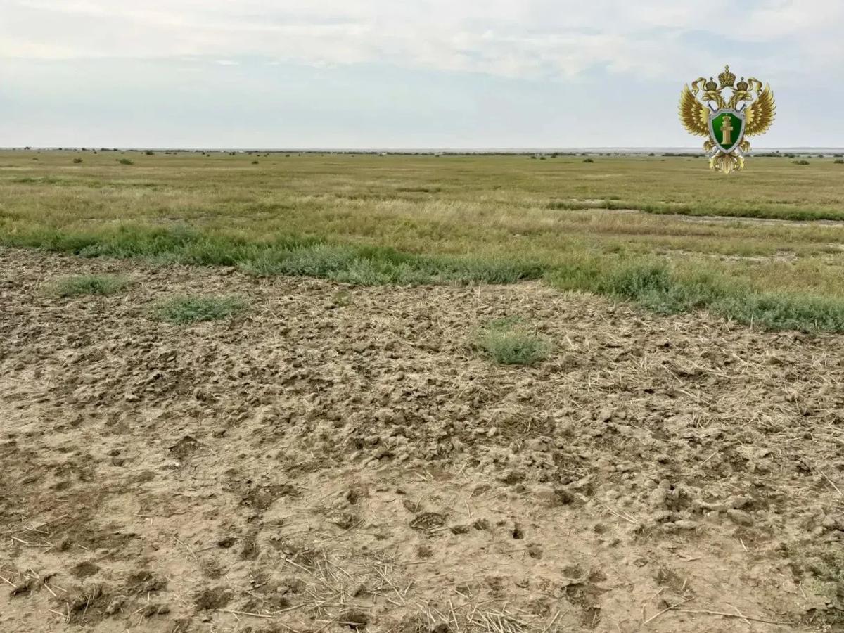 Сельхозпредприятие в Арзгирском районе оштрафовано за незаконный захват земли