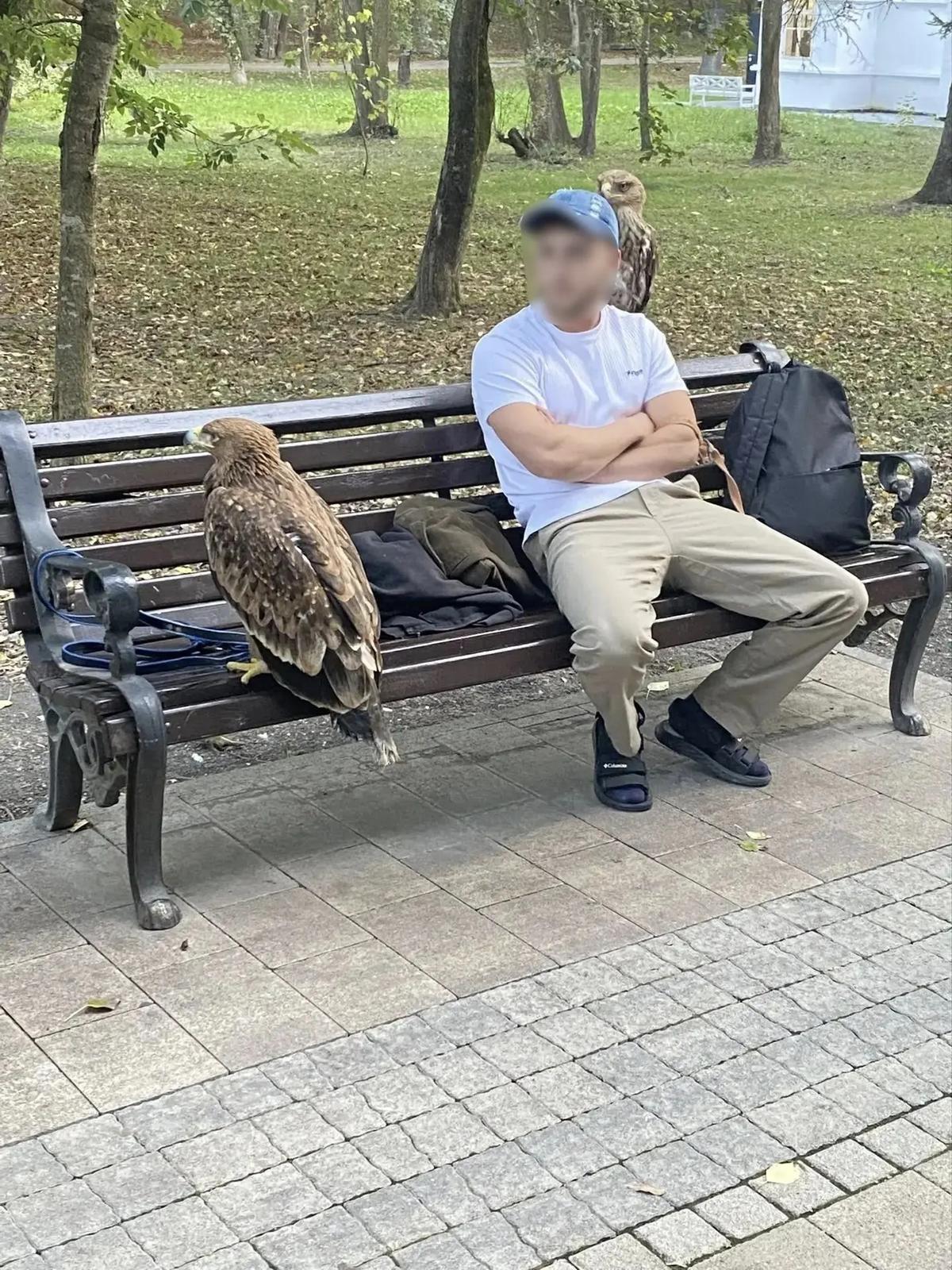 В Курортном парке Ессентуков устроили охоту на фотографов с дикими птицами