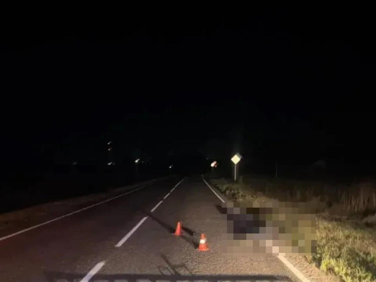 В Труновском округе водитель «Лады Гранты» насмерть сбил пешехода