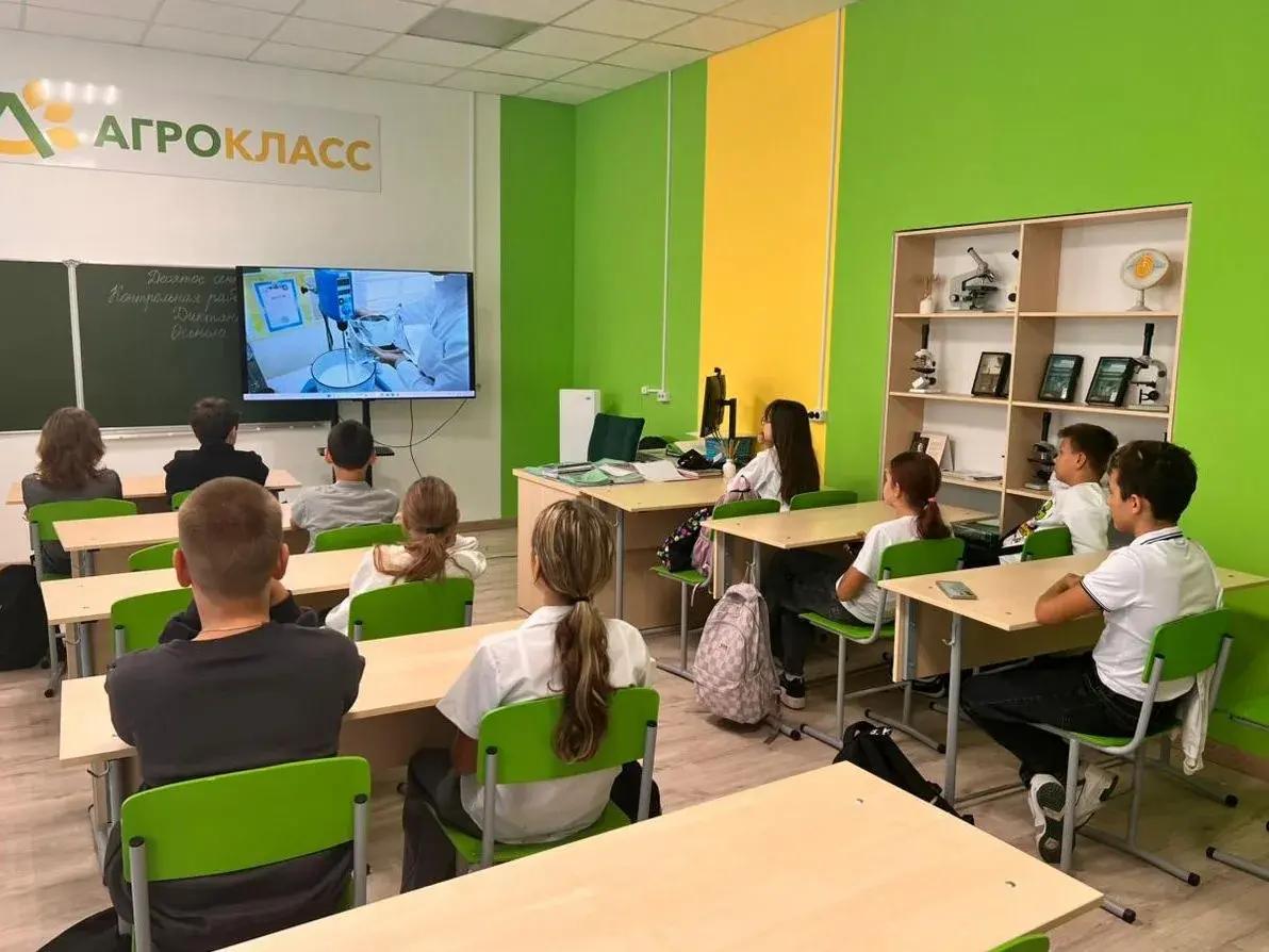 Школы Ставрополья начнут новый цикл профориентационных диагностик для учеников