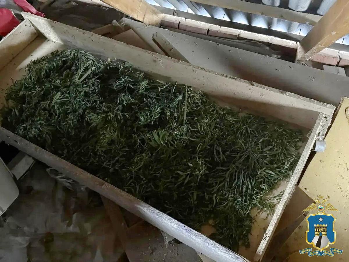 В Новоалександровском округе мужчину осудят за хранение более одного килограмма наркотика
