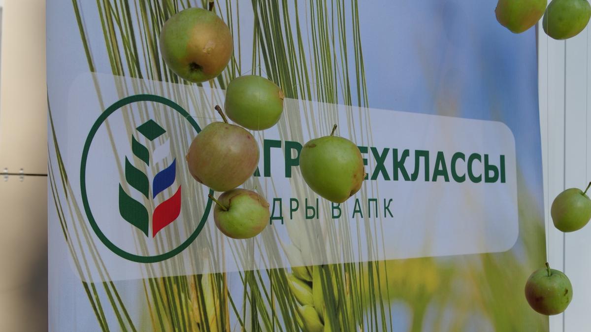 Новый агрокласс появился в Кочубеевском округе