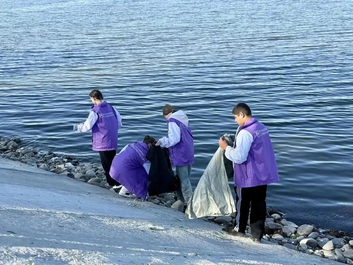 В Курском округе очистили берег водохранилища