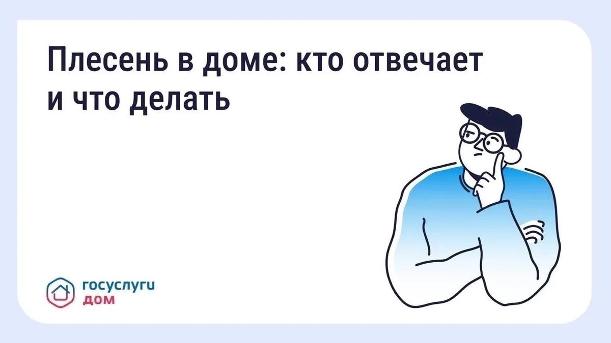 Плесень в квартире: куда обращаться жителям Ставрополья