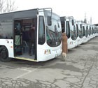 Ставрополь может  лишиться девяти автобусов 