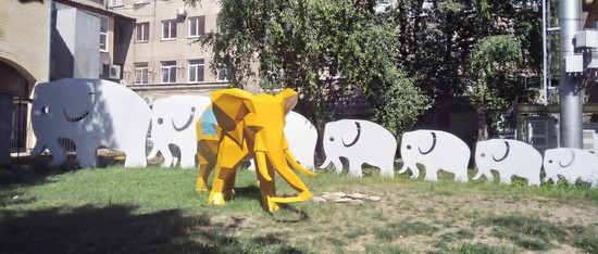 Ставрополь - родина слонов