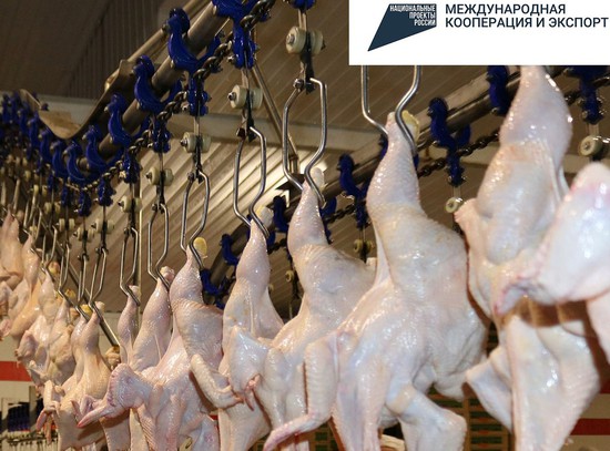 Куриное мясо отправляют на экспорт со Ставрополья. Минэкономразвития края