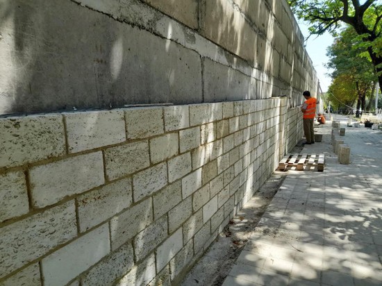 Исторический облик стены на проспекте Карла Маркса постараются восстановить