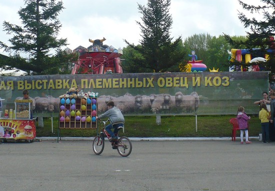 Ставрополье славится своими выставками. Фото из архива