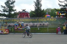 Ставрополье славится своими выставками. Фото из архива