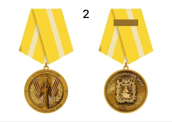 Один из эскизов медали. Фото из Телеграм-канала губернатора Ставрополья Владимира Владимирова