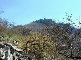 Быкогорский гребешок с Северного холма, КМВ, горы