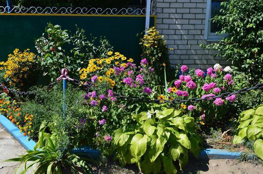 Яркий палисадник у дома — прелюдия к цветущему двору.
