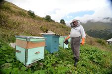 Батрадз Дзагоев много лет занимается пчеловодством.