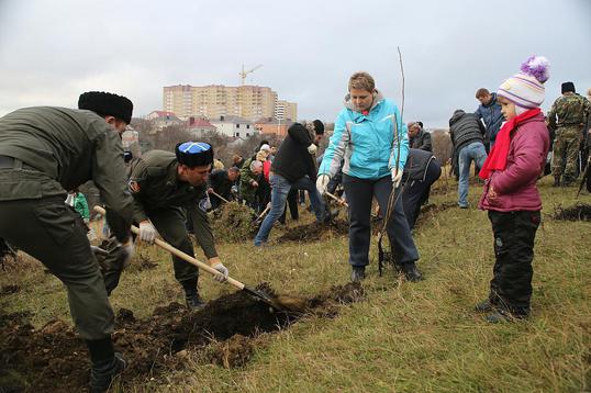 Казаки засаживают молодыми саженцами выделенную им администрацией землю, озеленение, администрация Ставрополя, казаки